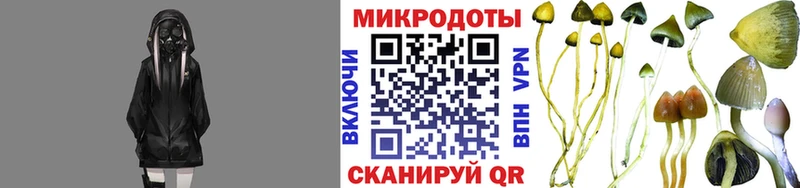 Купить  Кашин  Псилоцибиновые грибы мухоморы 